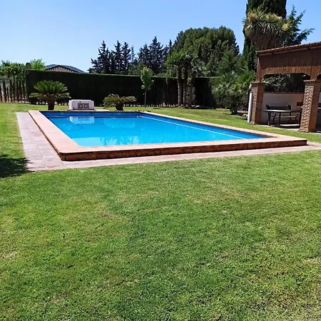 B & G Pool Relax Gardens